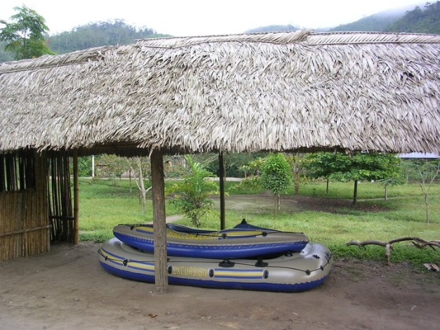 SAILING THROUGH THE JUNGLE - Imagen 4